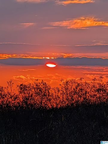 1419 COUNTY ROAD 480, Woodland, AL 36280