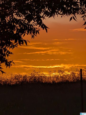 1419 COUNTY ROAD 480, Woodland, AL 36280