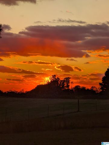 1419 COUNTY ROAD 480, Woodland, AL 36280