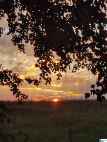 1419 COUNTY ROAD 480, Woodland, AL 36280