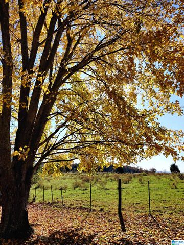 1419 COUNTY ROAD 480, Woodland, AL 36280