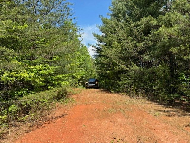 Lot 9 Paradise, Marble, NC 28905