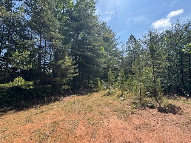 Lot 9 Paradise, Marble, NC 28905