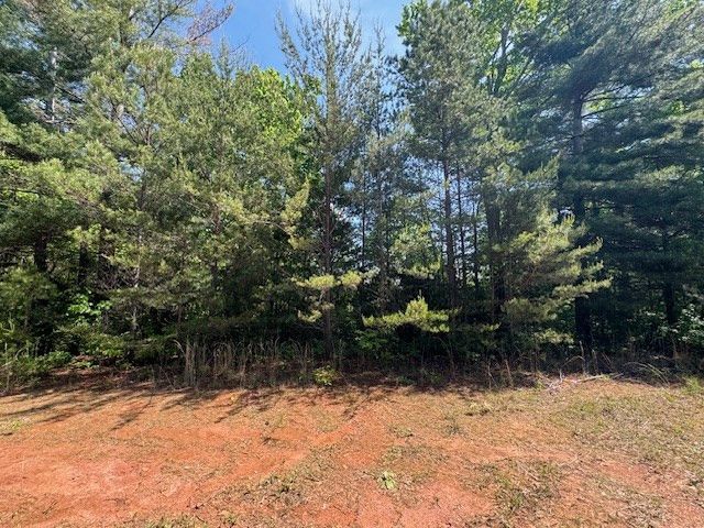Lot 9 Paradise, Marble, NC 28905