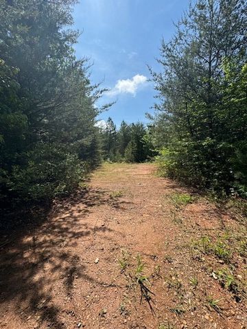 Lot 9 Paradise, Marble, NC 28905