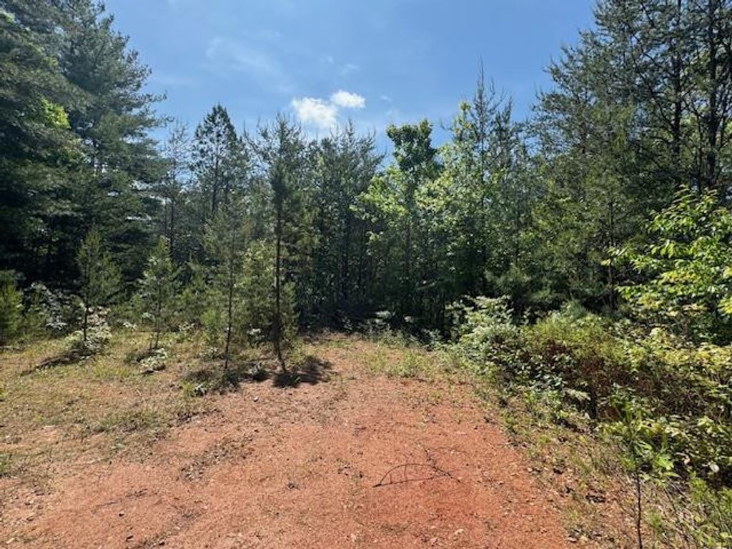 Lot 9 Paradise, Marble, NC 28905