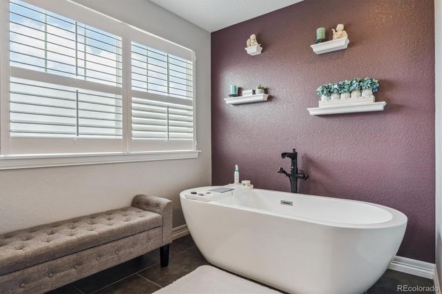 1445 Black Pine Court, Castle Rock, CO 80104