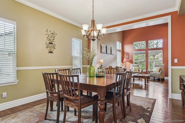 1445 Black Pine Court, Castle Rock, CO 80104