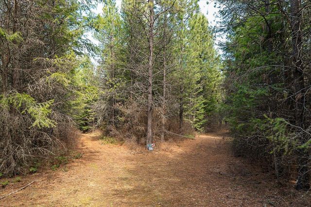 963 Thompson Rd, Elk, WA 99009