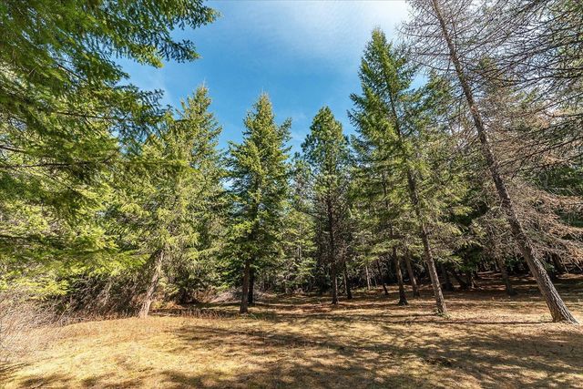 963 Thompson Rd, Elk, WA 99009