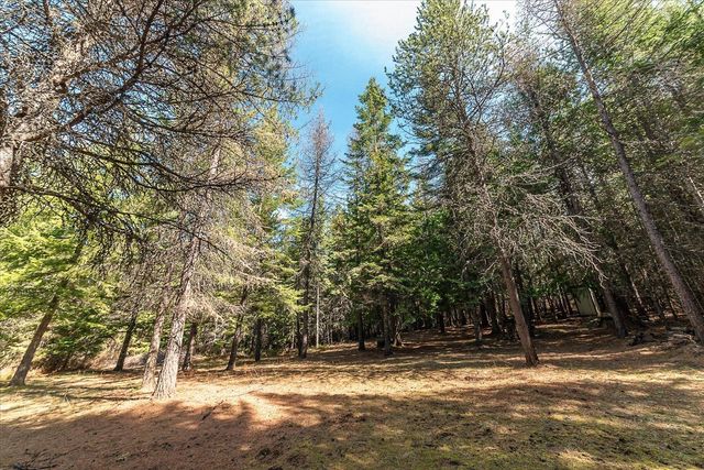 963 Thompson Rd, Elk, WA 99009