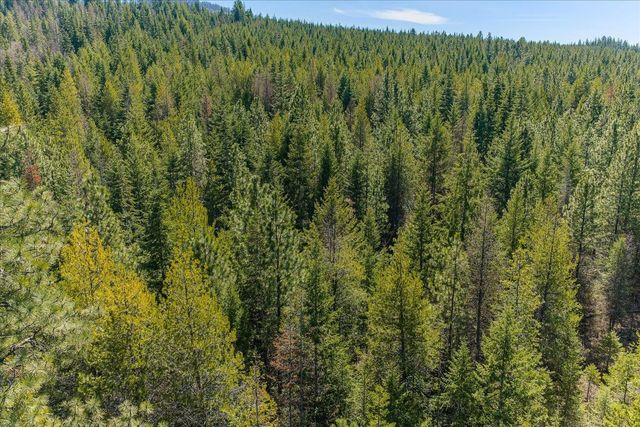 963 Thompson Rd, Elk, WA 99009