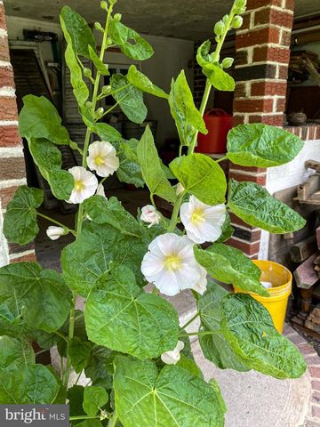 176 ROOSEVELT DR, Morea, PA 17948