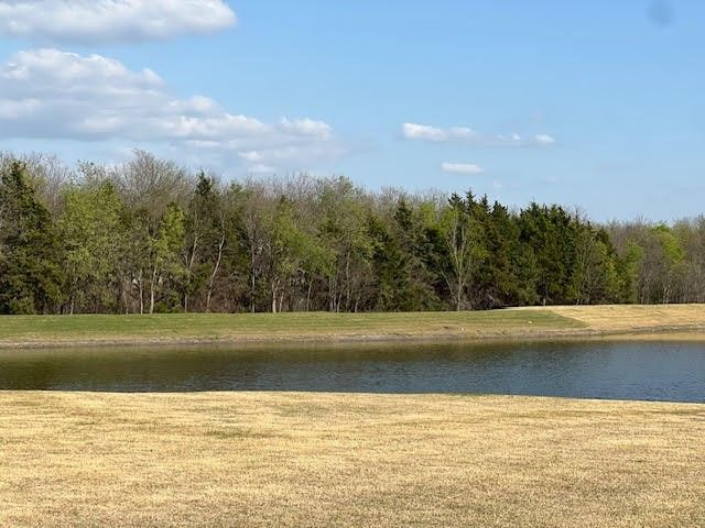 1117 Loblolly Lane, Princeton, TX 75407