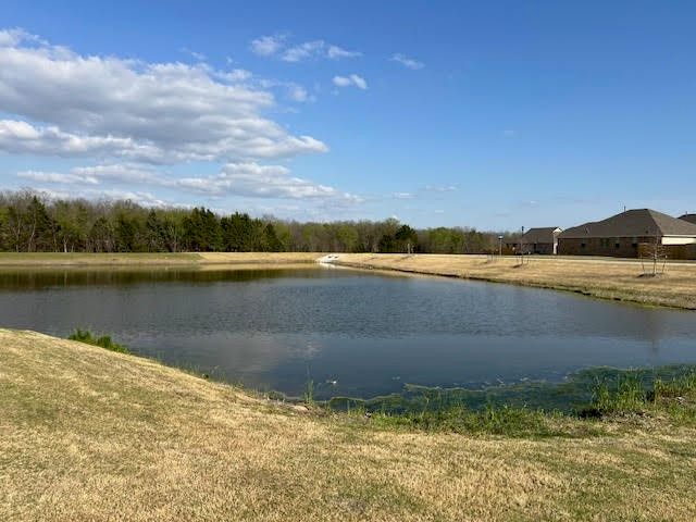 1117 Loblolly Lane, Princeton, TX 75407