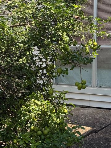 12418 South Garden Street, Houston, TX 77071