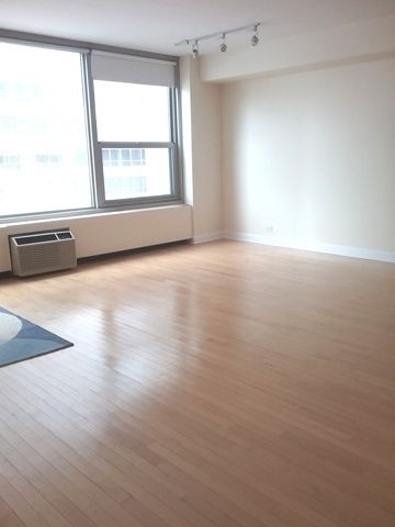 3600 N Lake Shore Drive 309, Chicago, IL 60613