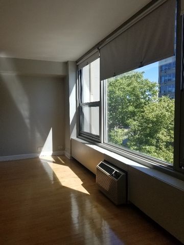 3600 N Lake Shore Drive 309, Chicago, IL 60613