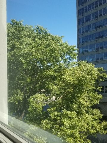 3600 N Lake Shore Drive 309, Chicago, IL 60613