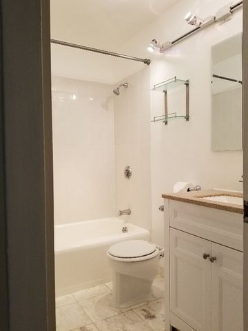 3600 N Lake Shore Drive 309, Chicago, IL 60613