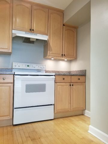 3600 N Lake Shore Drive 309, Chicago, IL 60613