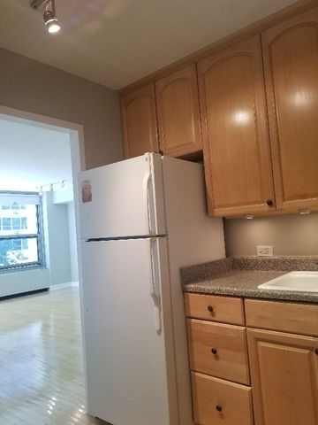 3600 N Lake Shore Drive 309, Chicago, IL 60613