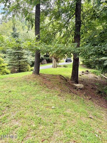 Lot 30 Rock Island, Butler, TN 37640