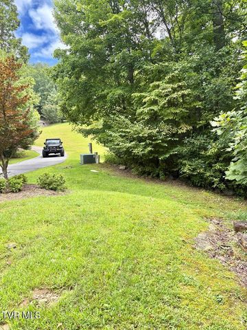 Lot 30 Rock Island, Butler, TN 37640