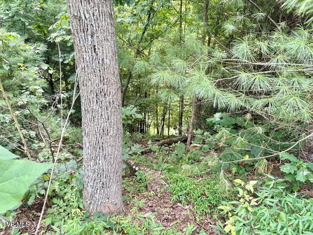 Lot 30 Rock Island, Butler, TN 37640