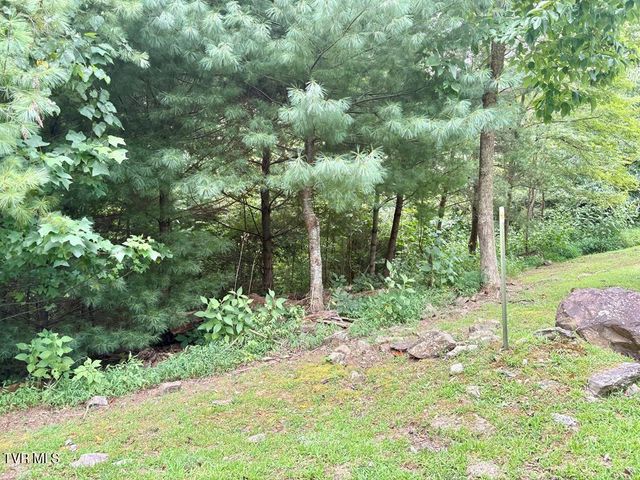 Lot 30 Rock Island, Butler, TN 37640