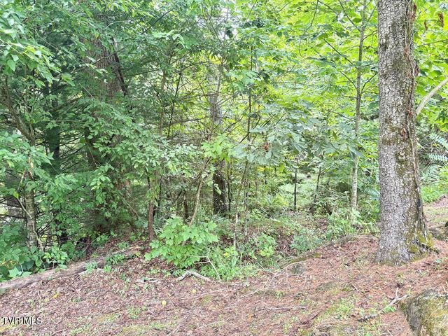 Lot 30 Rock Island, Butler, TN 37640