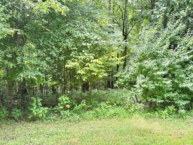 Lot 30 Rock Island, Butler, TN 37640