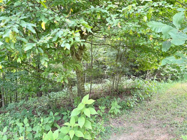 Lot 30 Rock Island, Butler, TN 37640