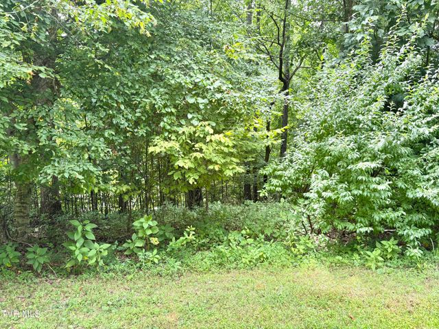 Lot 30 Rock Island, Butler, TN 37640