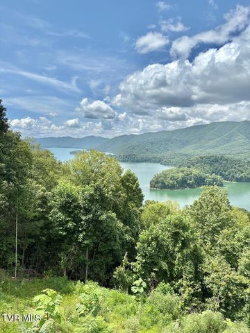 Lot 30 Rock Island, Butler, TN 37640