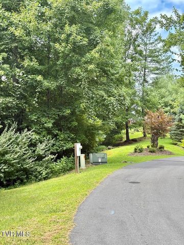 Lot 30 Rock Island, Butler, TN 37640