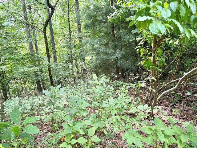 Lot 30 Rock Island, Butler, TN 37640