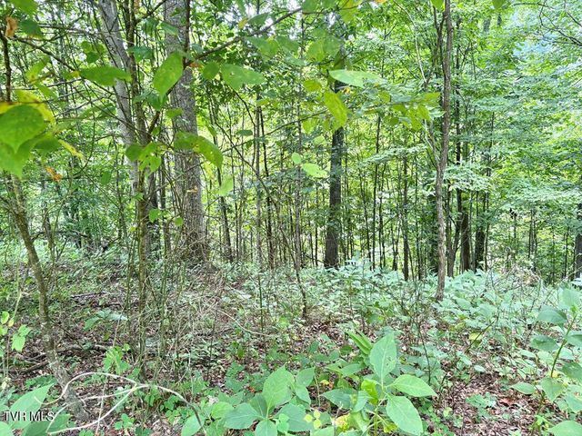 Lot 30 Rock Island, Butler, TN 37640