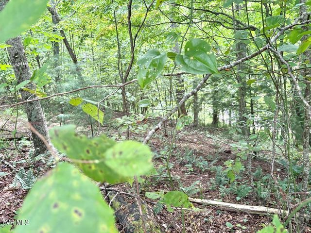 Lot 30 Rock Island, Butler, TN 37640