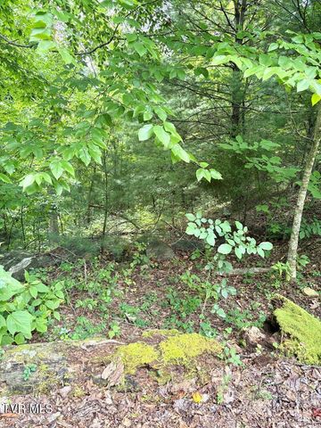 Lot 30 Rock Island, Butler, TN 37640