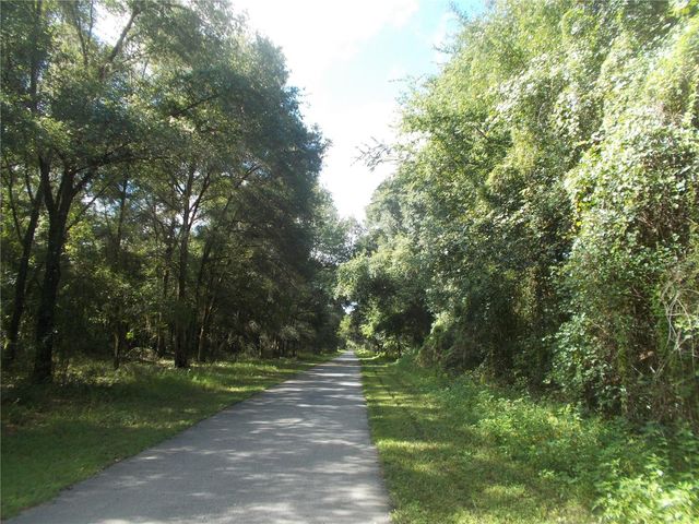 000 NORMAN STREET, Webster, FL 33597