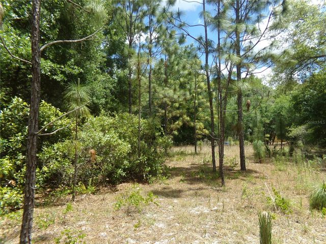 000 NORMAN STREET, Webster, FL 33597