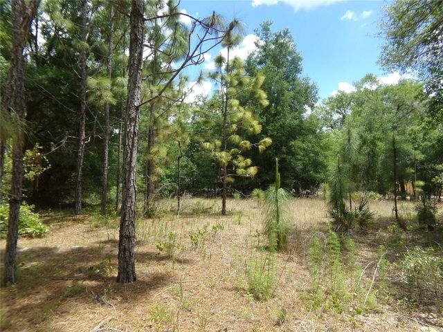 000 NORMAN STREET, Webster, FL 33597