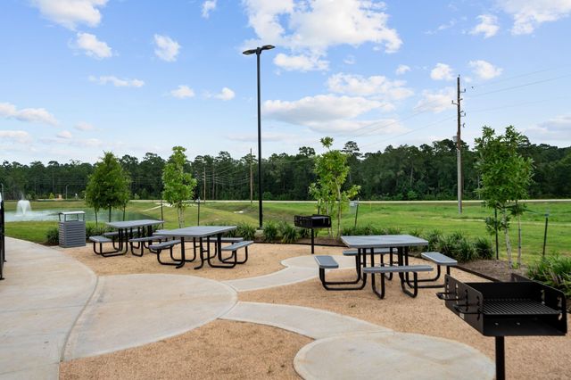 24215 Dewey Trail, Magnolia, TX 77355