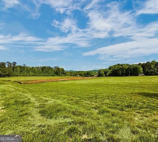 114 PALISADE Drive, Rydal, GA 30171