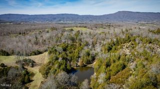 71/Ac Tbd Smithtown Road, Greeneville, TN 37745