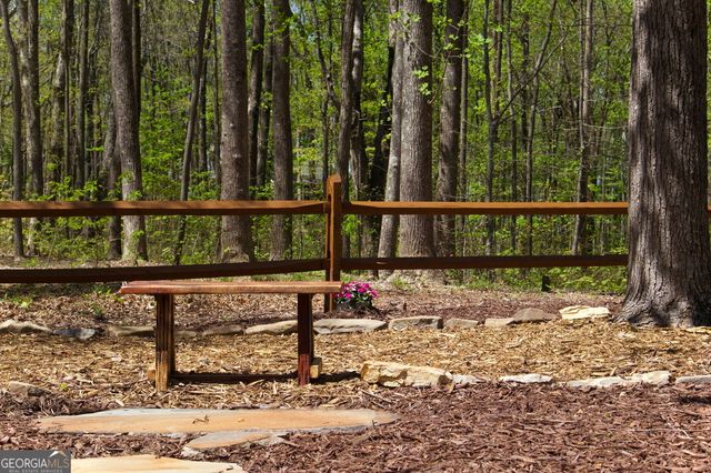 20 Northstar Lane, Ellijay, GA 30536