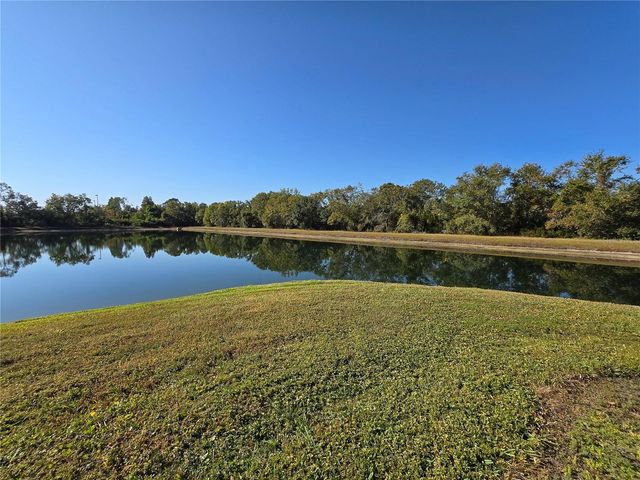 2802 CONCH HOLLOW DRIVE, Brandon, FL 33511