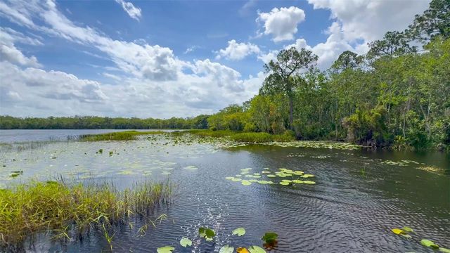 6829 SUNDROP STREET, Harmony, FL 34773