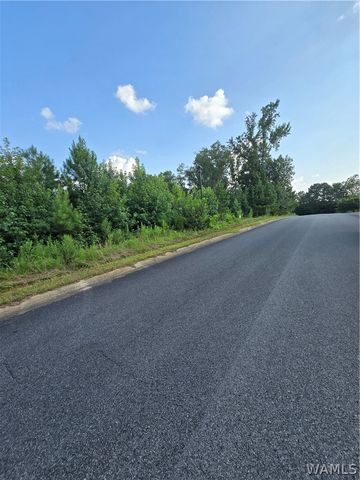 11700 Elam, Northport, AL 35475